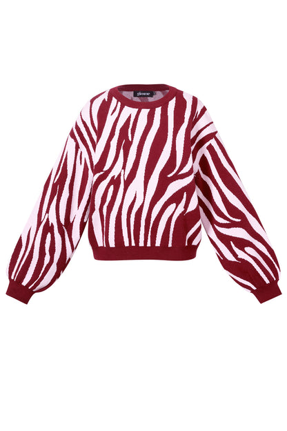 Gebreide truien Zebrastrepen Casual herfst/winterkleding